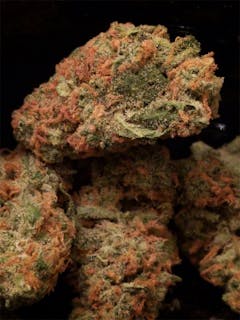 User uploaded image of Big Band