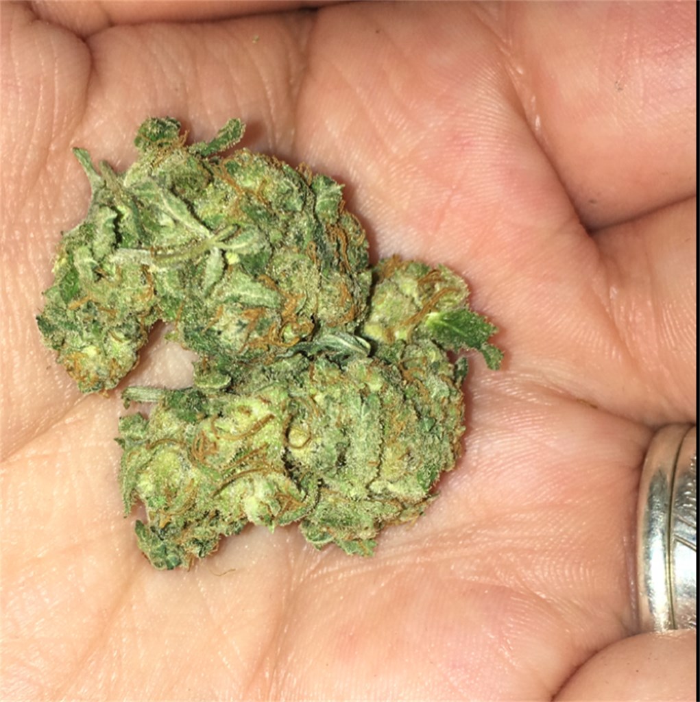 https://leafly-public.imgix.net/strains/reviews/photos/big-bang__primary_3c93.jpg