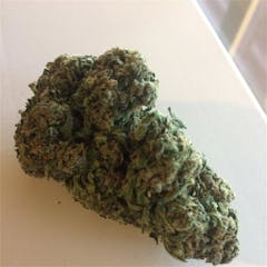 User uploaded image of Big Bud