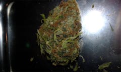 User uploaded image of Big Bud