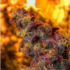 User uploaded image of Big Smooth