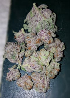 User uploaded image of Big White