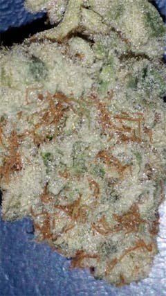 User uploaded image of Big Wreck