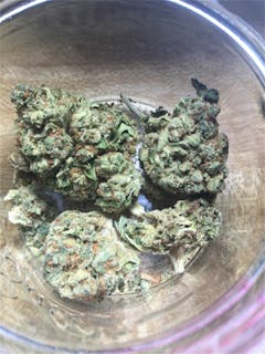 User uploaded image of Biker Le’Blanc