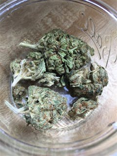 User uploaded image of Biker Le’Blanc