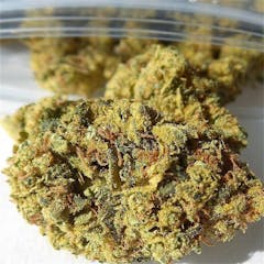 User uploaded image of Bio-Diesel