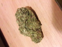 User uploaded image of Bio-Diesel