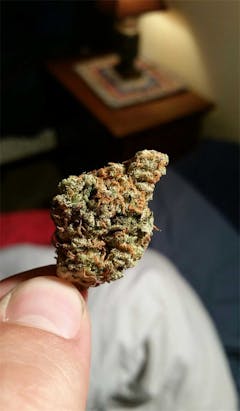 User uploaded image of Bio-Diesel