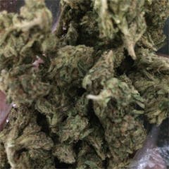 User uploaded image of Bio-Diesel