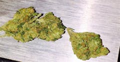 User uploaded image of Bio-Diesel