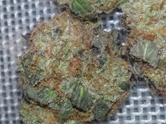 User uploaded image of Bio-Diesel