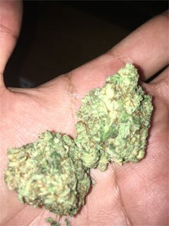User uploaded image of Bio-Diesel
