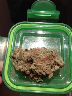 User uploaded image of Bio-Jesus