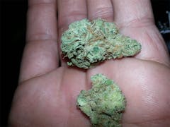 User uploaded image of Bio-Jesus