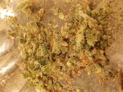 User uploaded image of Bio-Jesus