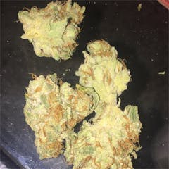 User uploaded image of Bio-Jesus