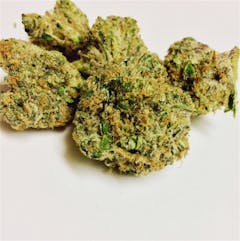 User uploaded image of Biochem