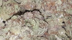 User uploaded image of Biochem