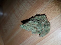 User uploaded image of Birds Eye