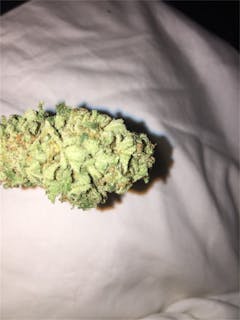 User uploaded image of Black '84