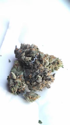 User uploaded image of Black Bubba