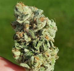 User uploaded image of Black Bubba