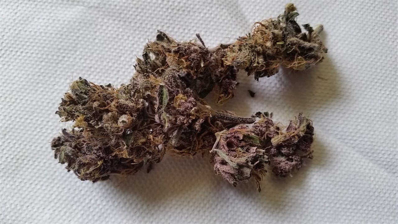 Photos of Black Cherry Cheesecake Weed Strain Buds Leafly
