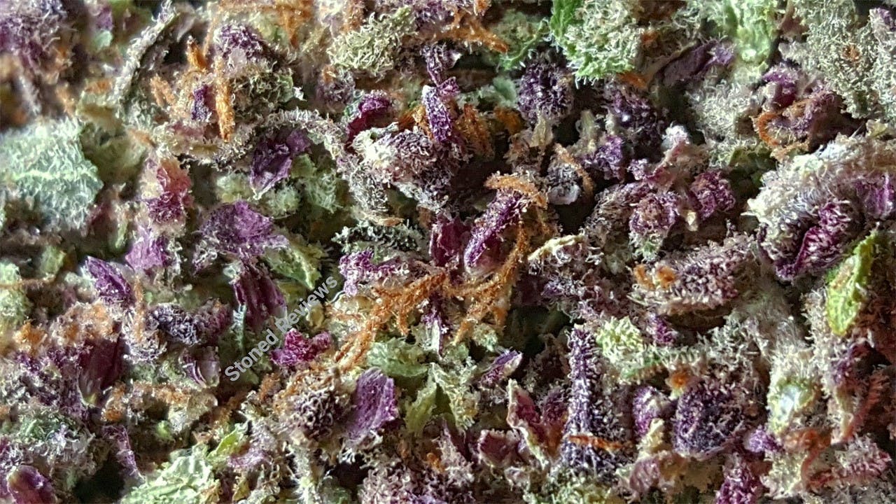 Photos of Black Cherry Cheesecake Weed Strain Buds Leafly