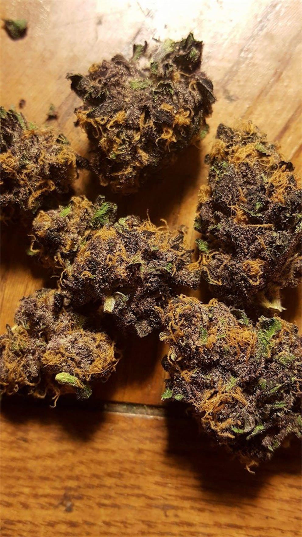 Photos of Black Cherry Cheesecake Weed Strain Buds Leafly