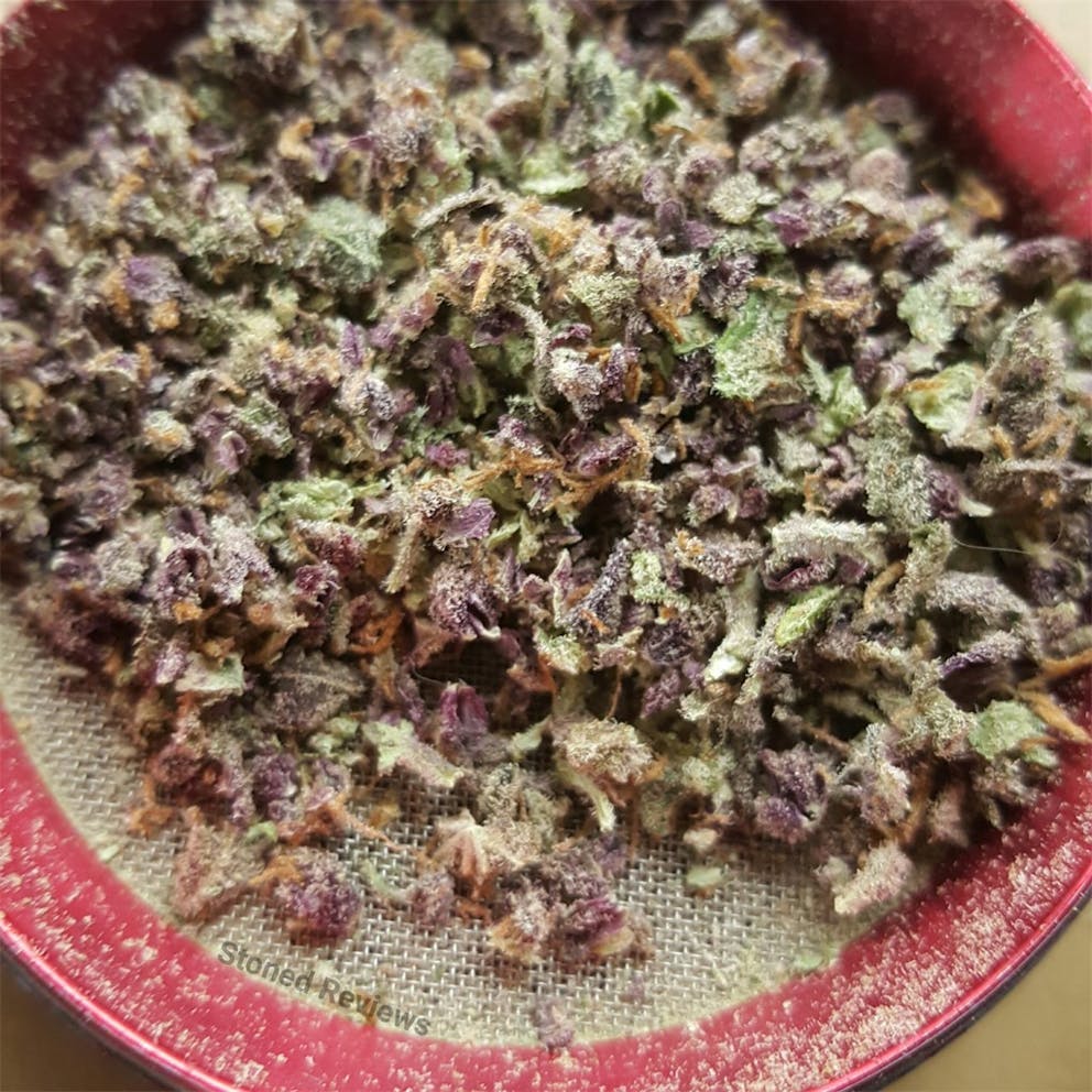Photos of Black Cherry Cheesecake Weed Strain Buds Leafly