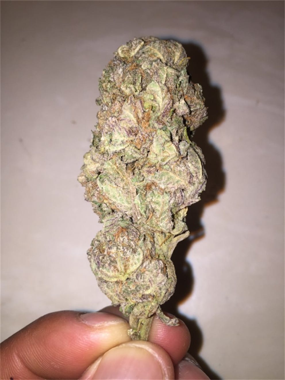 Photos of Black Cherry Cheesecake Weed Strain Buds Leafly