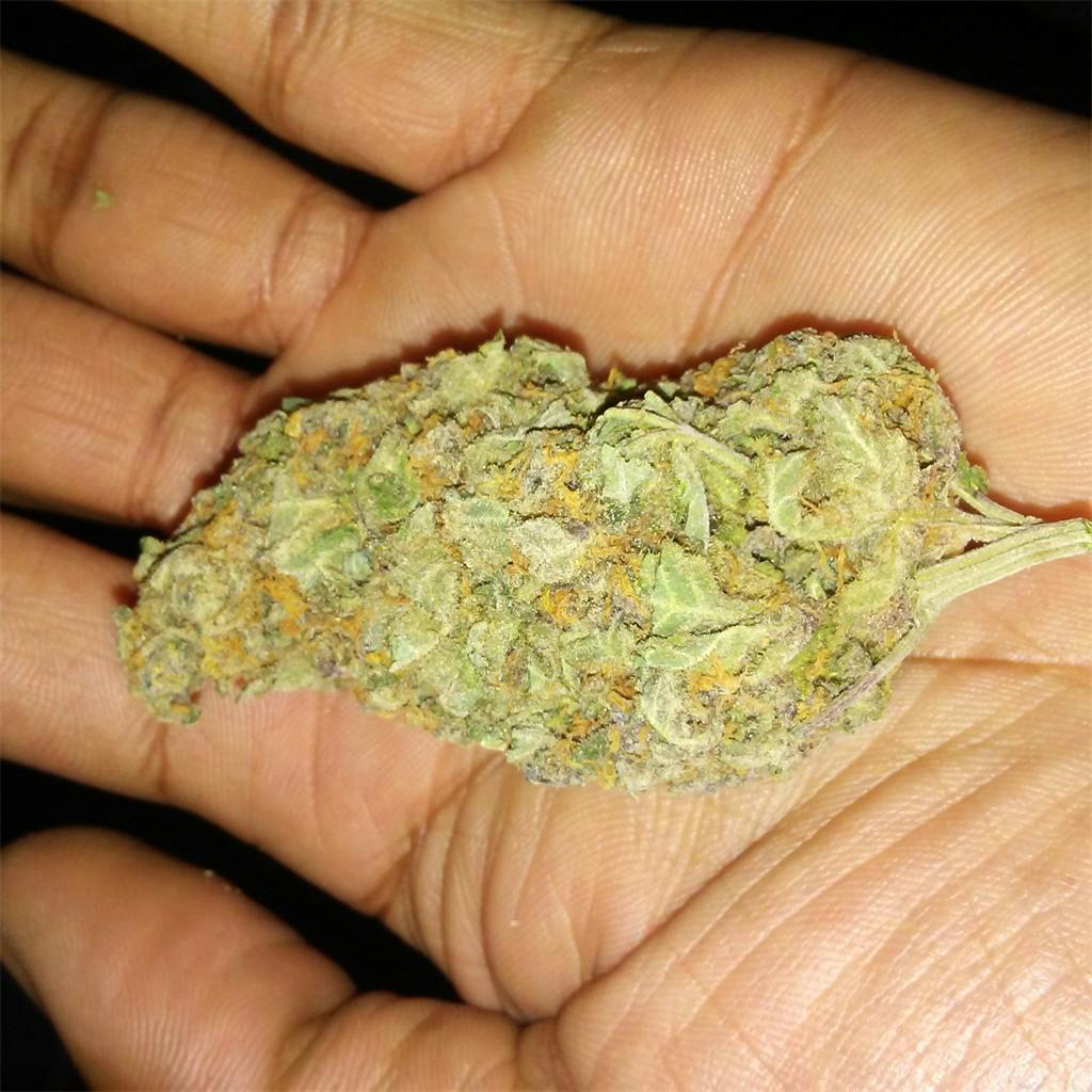 Photos of Black Cherry Cheesecake Weed Strain Buds Leafly