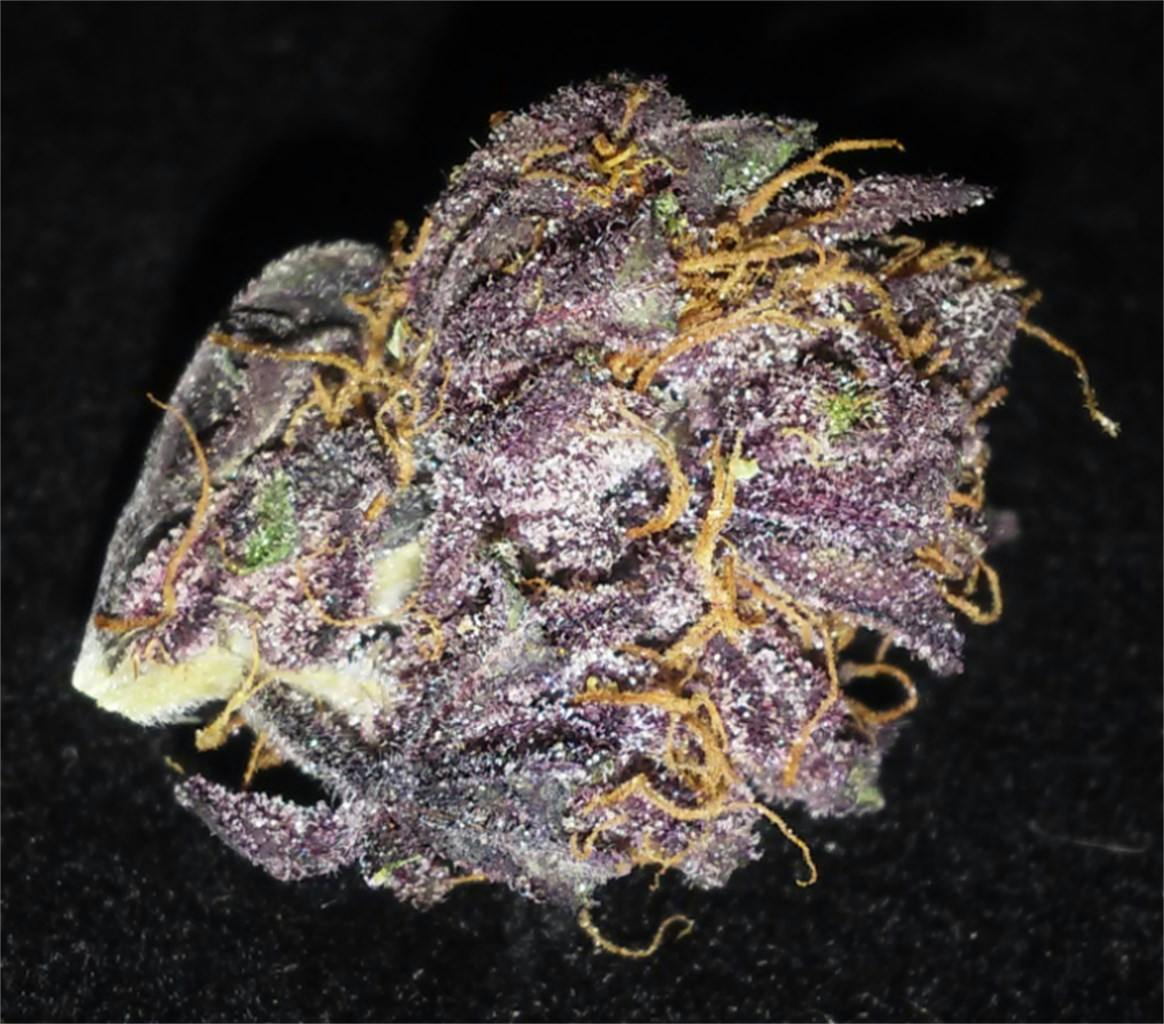 Black Cherry Cheesecake Weed Strain Information Leafly