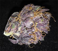 User uploaded image of Black Cherry Cheesecake