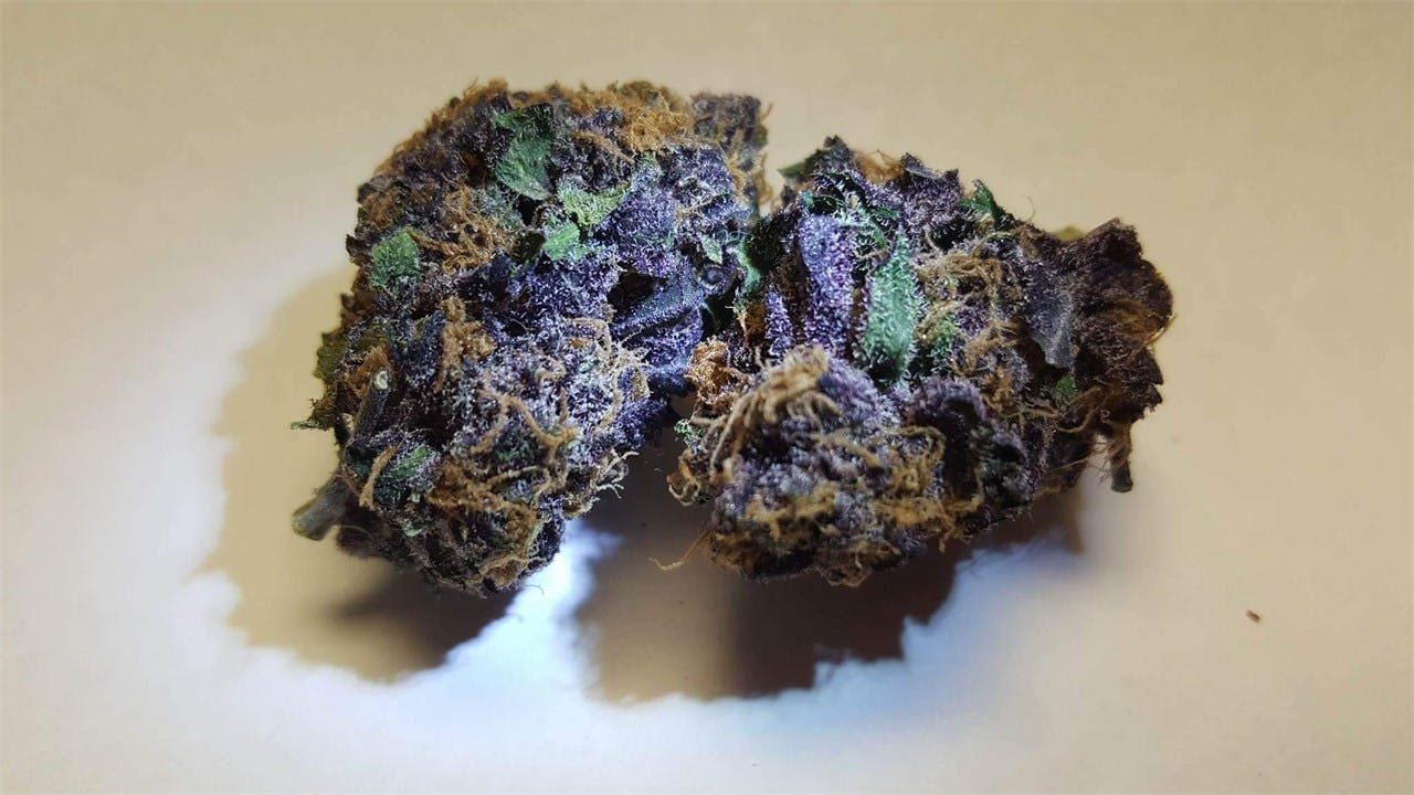 Black Cherry Cheesecake Weed Strain Information Leafly