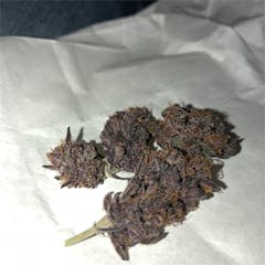 User uploaded image of Black Cherry Cheesecake