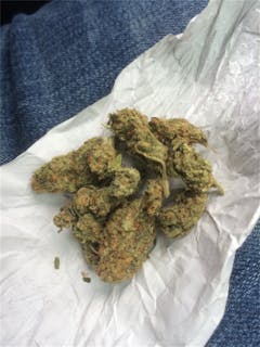 User uploaded image of Black Cherry OG