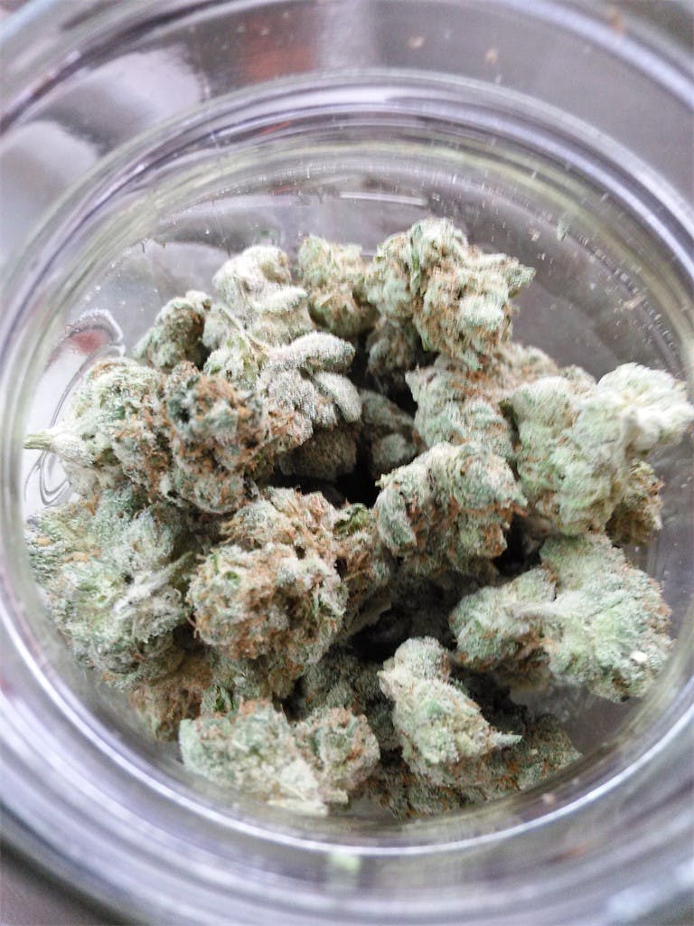 Photos of Black Cherry OG Weed Strain Buds Leafly