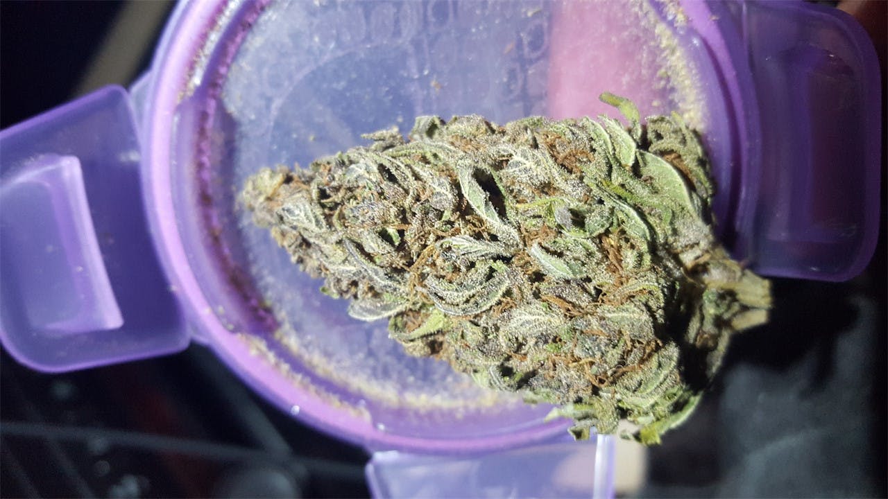 Black Cherry OG aka Black Cherry OG Kush, Black Cherry Weed Strain