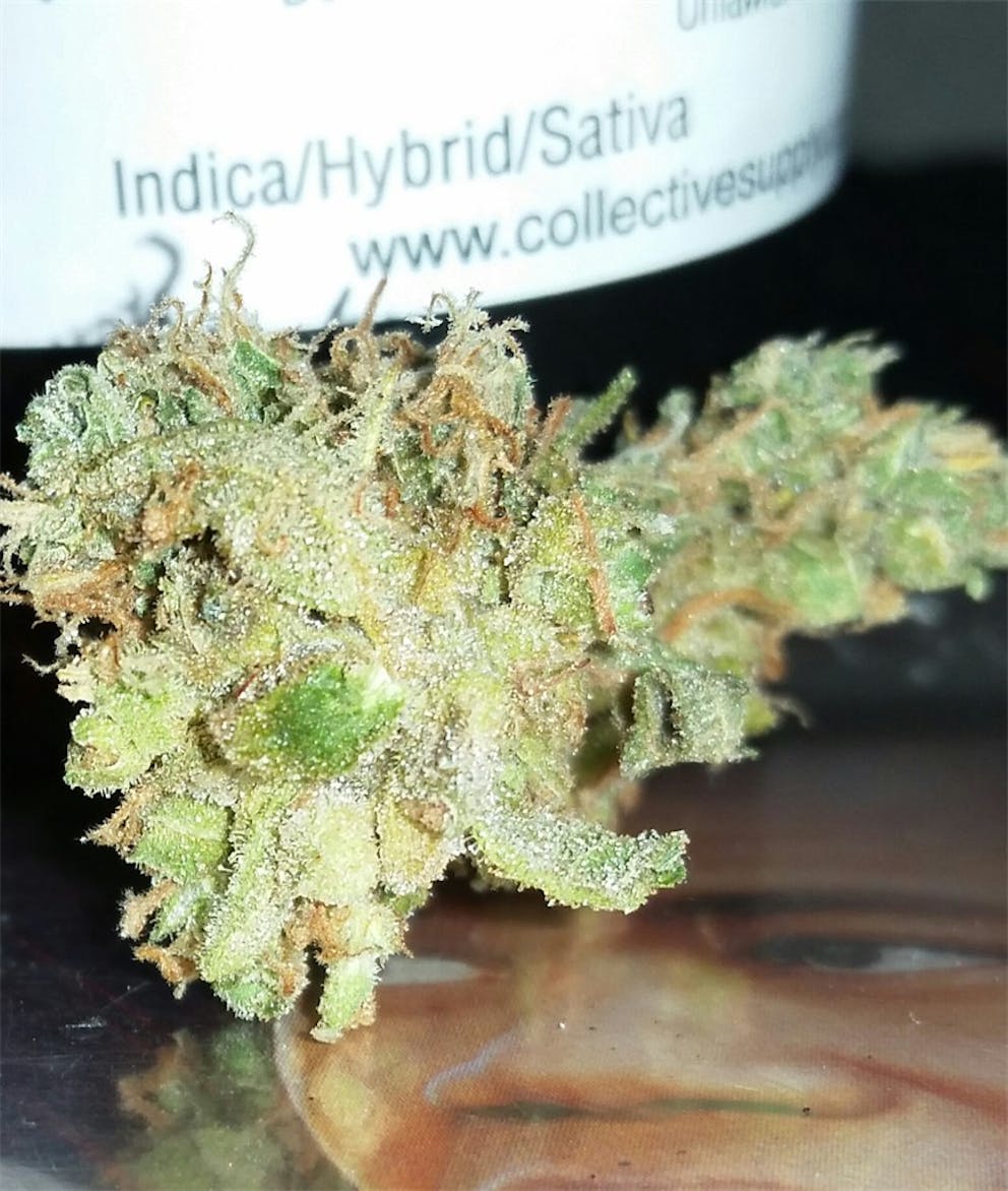 Photos of Black Cherry OG Weed Strain Buds | Leafly