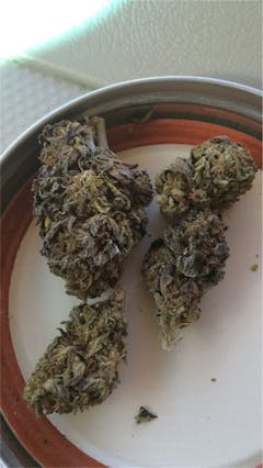 User uploaded image of Black Cherry OG