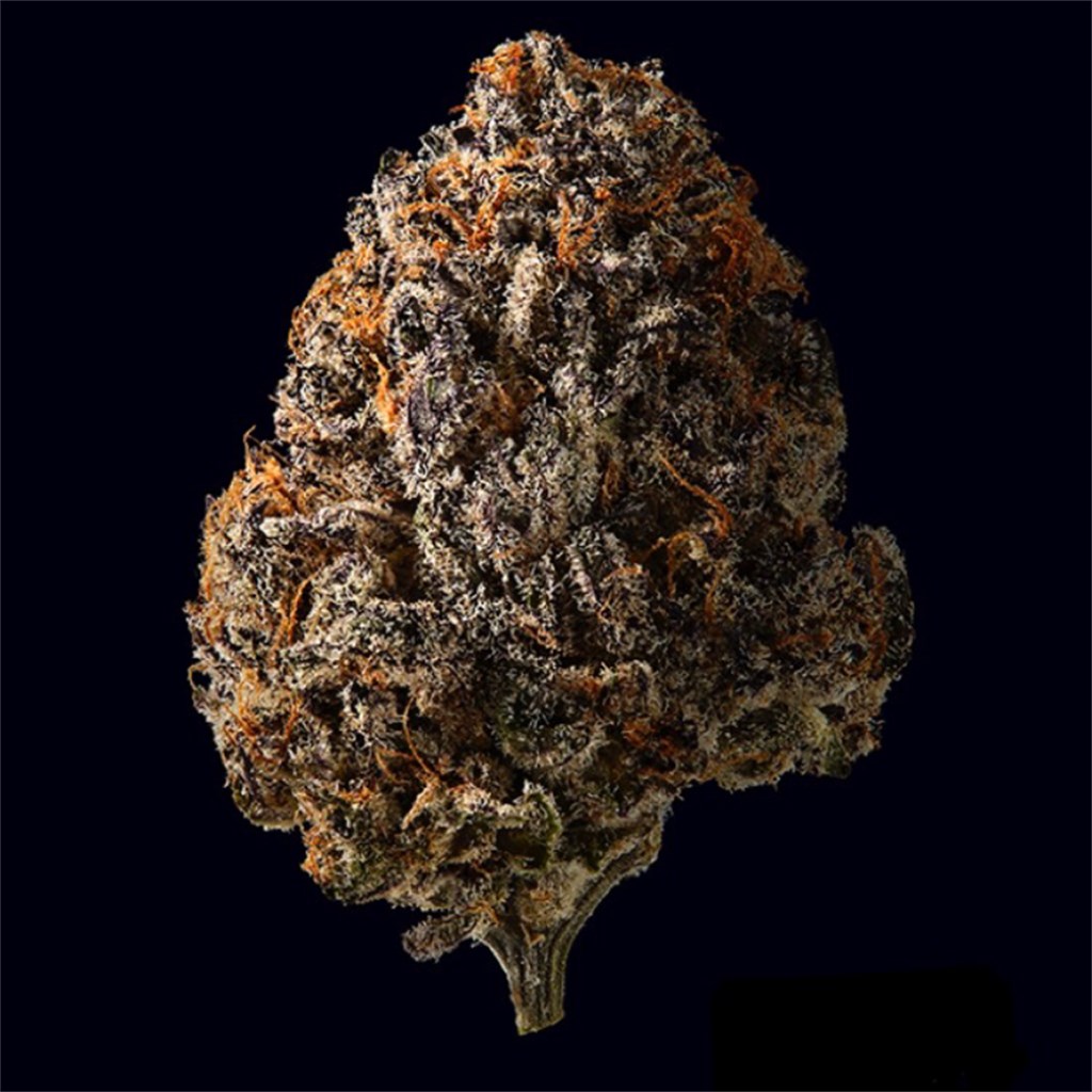 Black Cherry Pie Weed Strain Information | Leafly