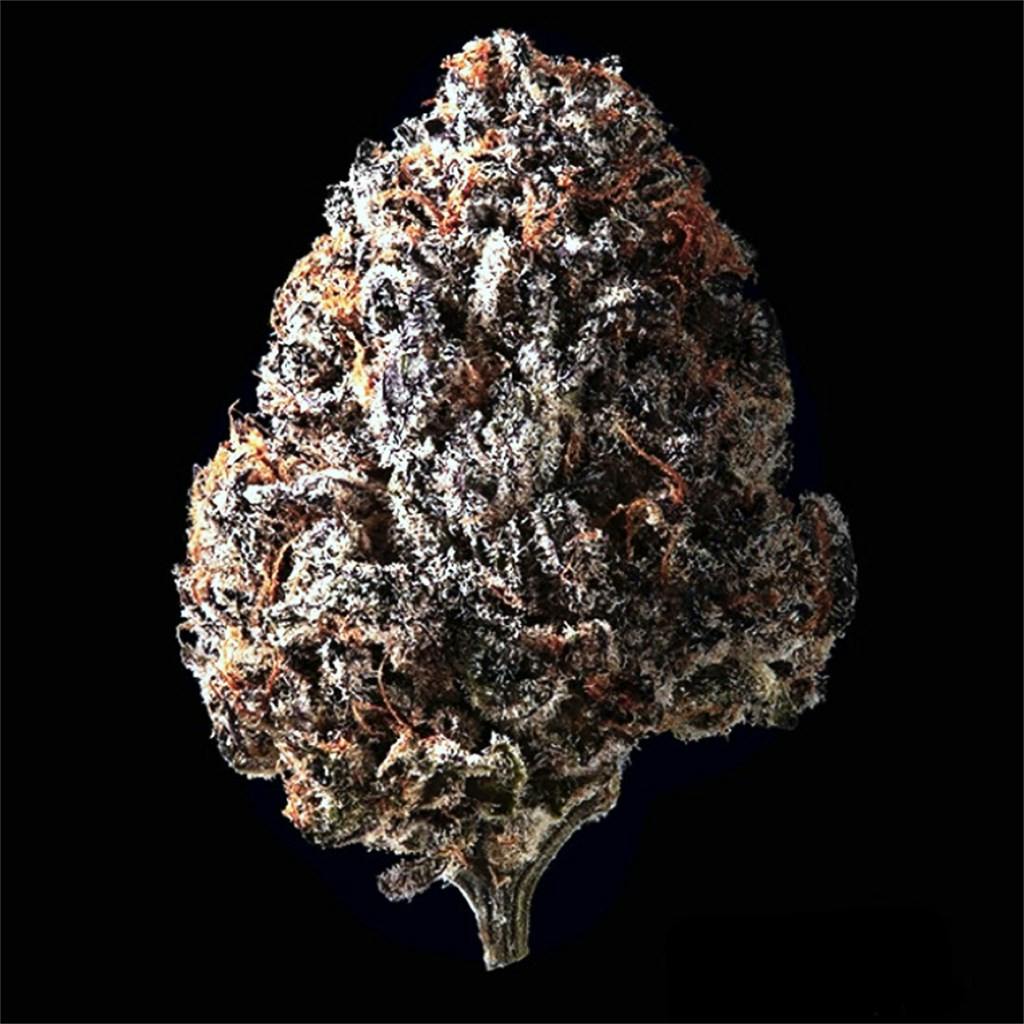 Black Cherry Pie Marijuana Strain Information | Leafly