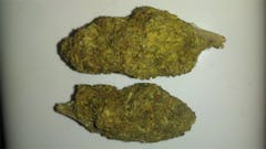User uploaded image of Black Cherry Pie