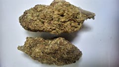 User uploaded image of Black Cherry Pie