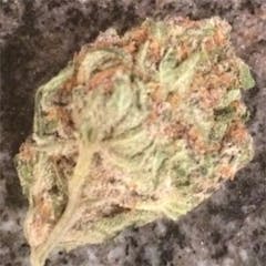 User uploaded image of Black Cherry Soda