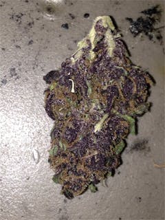 User uploaded image of Black Cherry Soda
