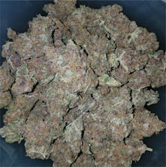 User uploaded image of Black Cherry Soda