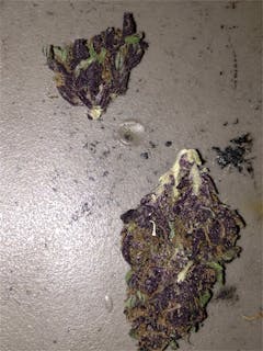 User uploaded image of Black Cherry Soda