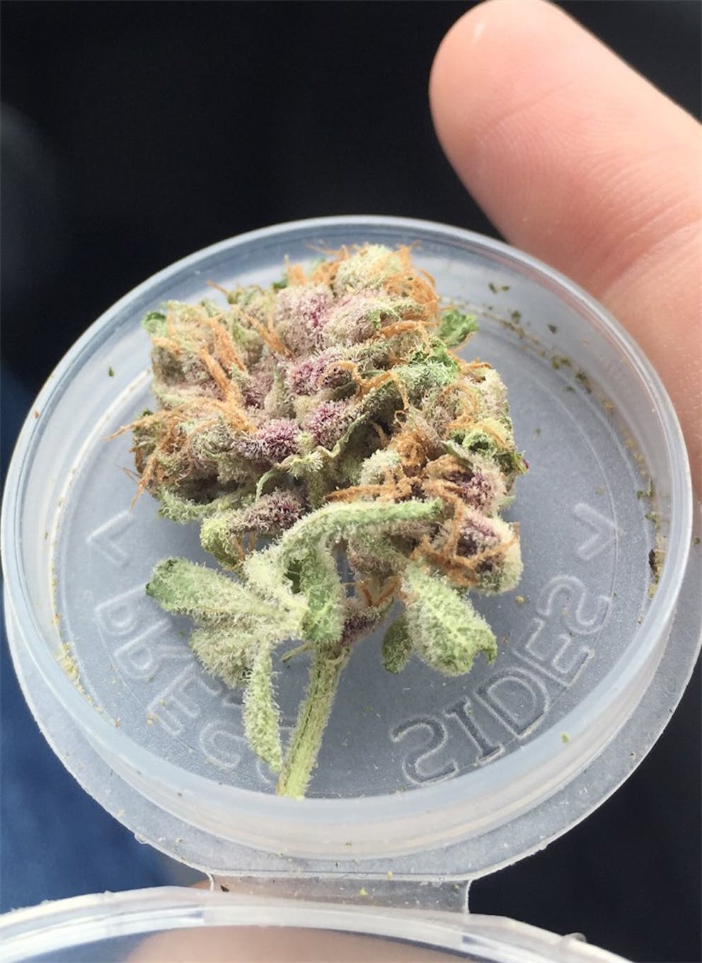 Photos of Black Cherry Soda Weed Strain Buds Leafly